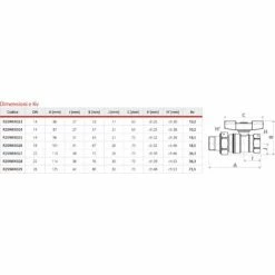 GIACOMINI shop -GIACOMINI shop 42678982 2